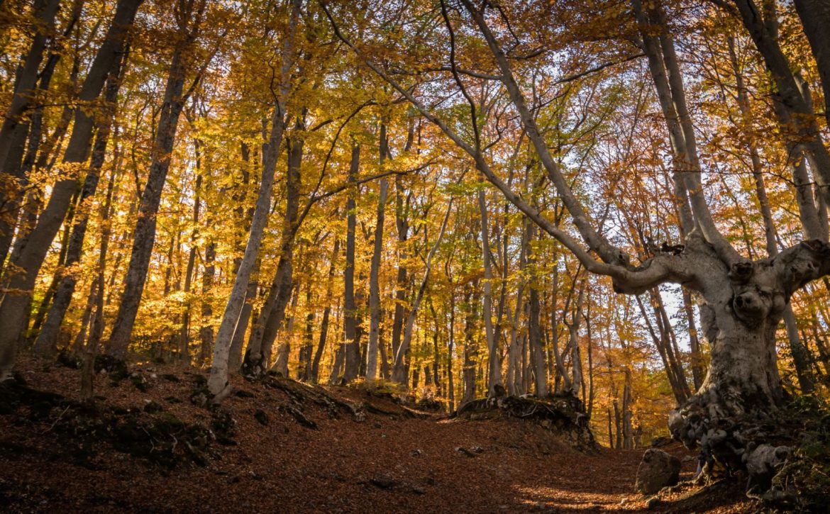 QUALI SONO I SITI PATRIMONIO UNESCO IN ABRUZZO? L’ELENCO COMPLETO