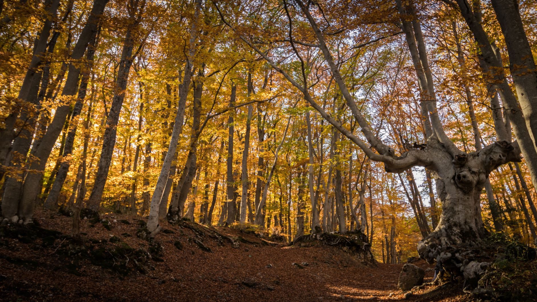 QUALI SONO I SITI PATRIMONIO UNESCO IN ABRUZZO? L’ELENCO COMPLETO