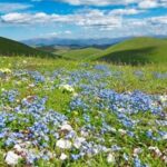 I 10 PARCHI E AREE NATURALI DA VISITARE IN ABRUZZO