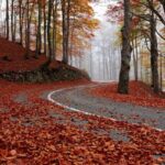 TRE POSTI DOVE VEDERE IL FOLIAGE IN ABRUZZO NEL 2024, UN MOSAICO DI COLORI CALDI