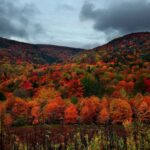 FOLIAGE IN ABRUZZO: I LUOGHI PIÙ BELLI DOVE AMMIRARE I COLORI D’AUTUNNO TRA BORGHI, BOSCHI E LAGHI INCANTATI