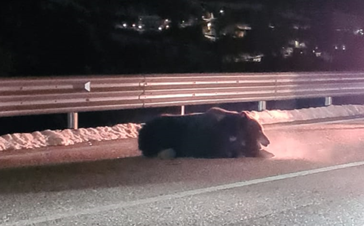 ORSO