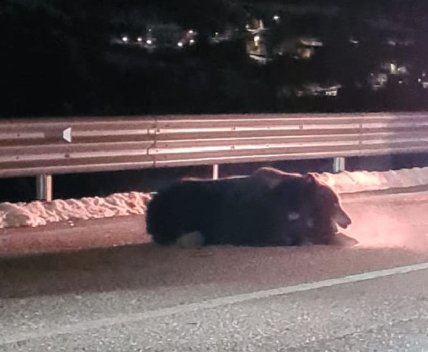 ORSO