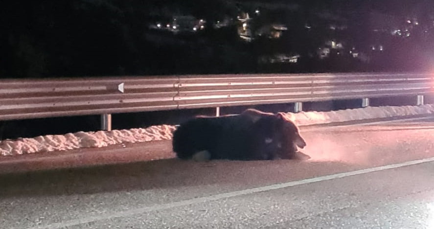 ORSO