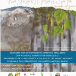 PARTECIPA ALLA SECONDA EDIZIONE DEL CONTEST ARTISTICO NATURARTE MAIELLA 2026