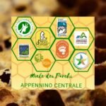 "MIELINFESTA 2026", TORNA IL CONCORSO PER IL MIGLIOR MIELE DEI PARCHI DELL’APPENNINO ANNO 2026. ISCRIZIONI ENTRO IL 9/10